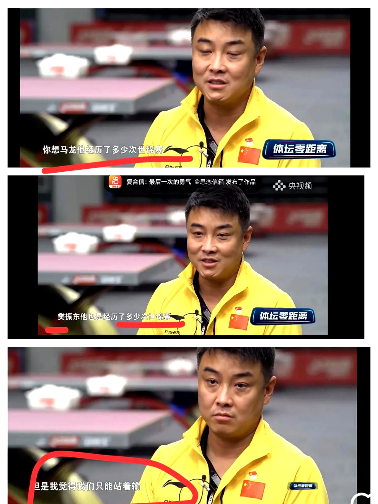 包含瑞典乒乓球队翻盘德国乒乓球队，王皓三分雨点燃全场的词条