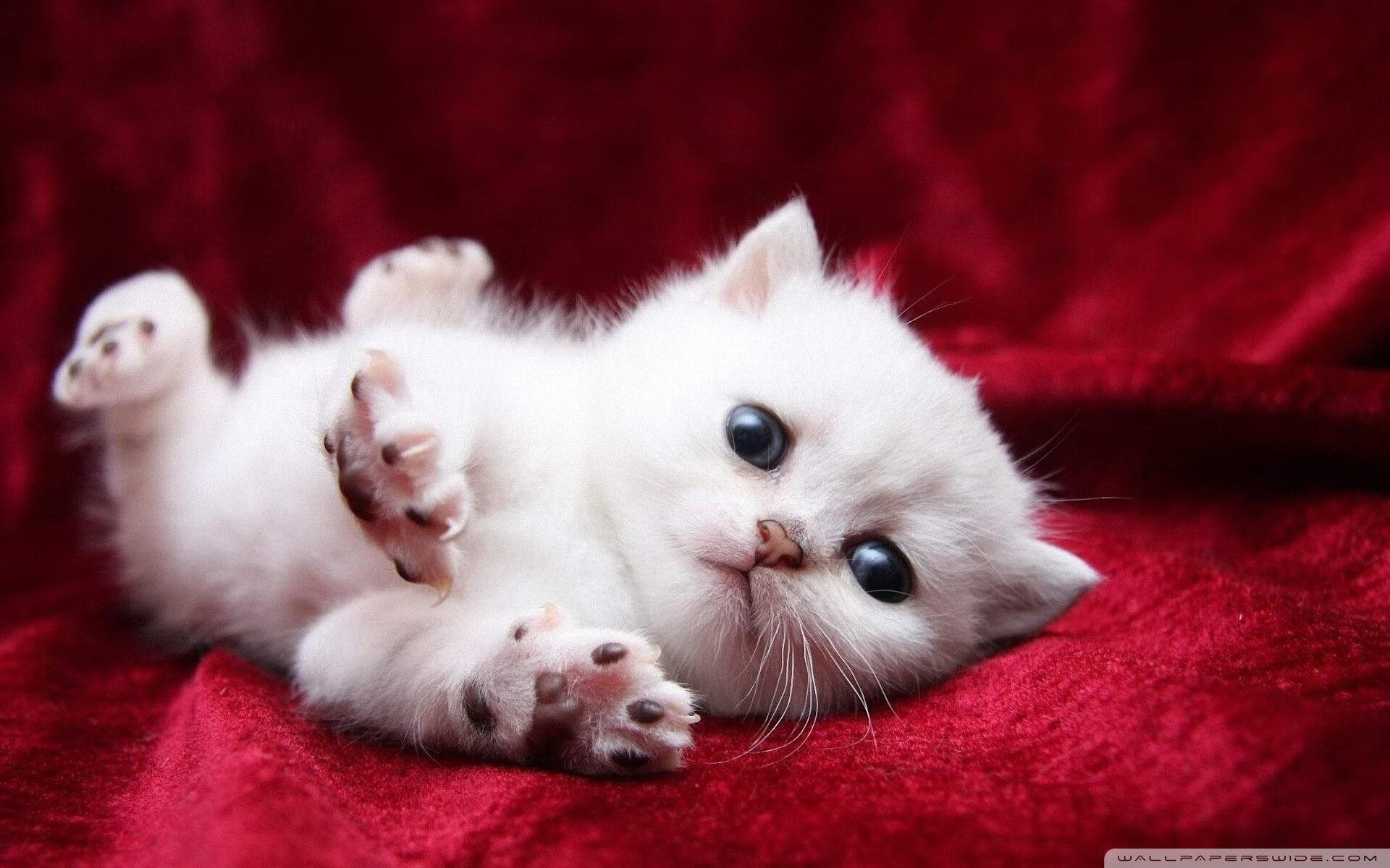 雄鹿决胜局带走奇才,乔治成为关键先生